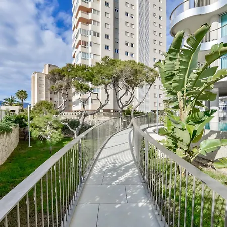 Guzman - Evolution *